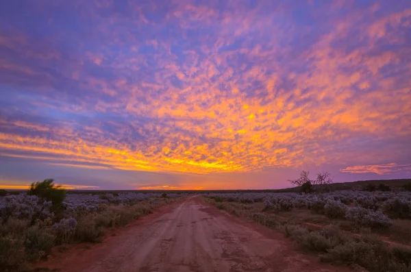 Colorful sunset in Australian remote plain rural land dirt road — Stock Photo, Image