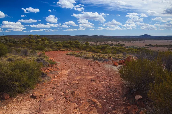 Bochtige rode grond onverharde weg Australische outback landelijke wildernis sce — Stockfoto