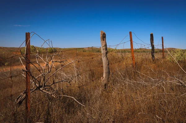 Cerca de alambre de púas oxidado postes de madera Australian Outback — Foto de Stock