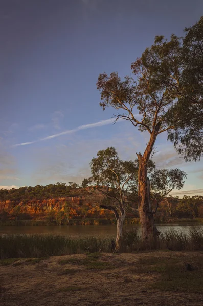 Scenic cliffs along Australian river at sunrise sunset — Stock Photo, Image