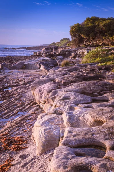 Nascer do sol na praia rochosa na Austrália urbana — Fotografia de Stock
