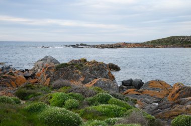 Bir kayalık plaj çizgi manzara