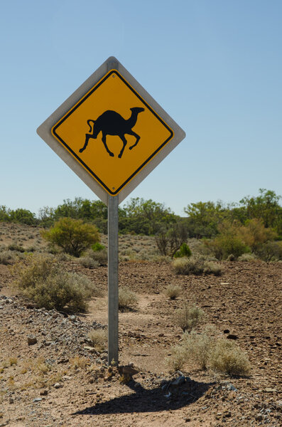 Camel crossing warning road sign