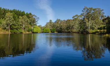 Yansımaları ile ormandaki göl