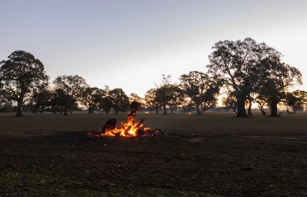 Log burning in the garden at sunset — Stock Photo, Image