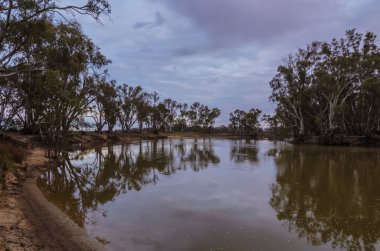Şafakta sakin Avustralya Nehri