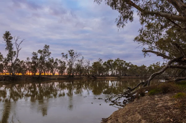 Tranquille rivière australienne à l'aube — Photo