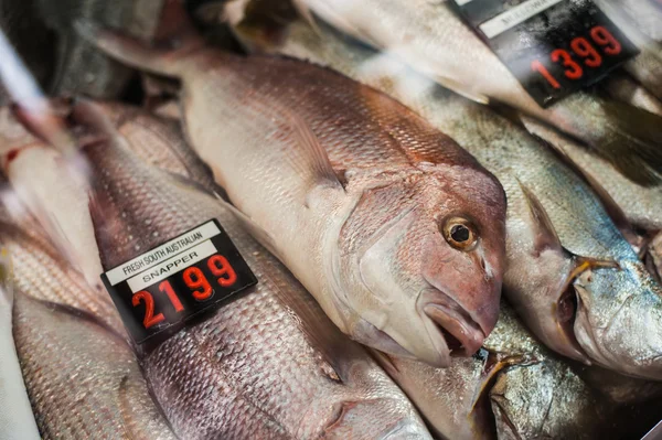 Снэппер из Южной Австралии в рыбном магазине на рынке свежих продуктов питания — стоковое фото