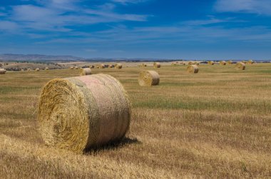 Alan, haddelenmiş saman