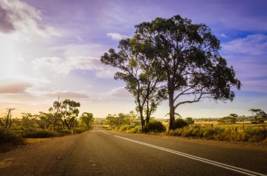 Avustralya outback kırsal yol 