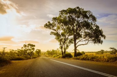 Avustralya outback kırsal yol 