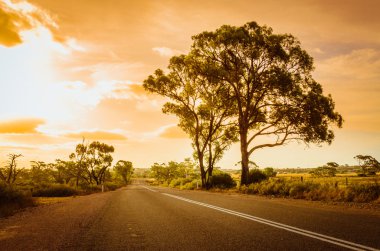 Avustralya outback kırsal yol 