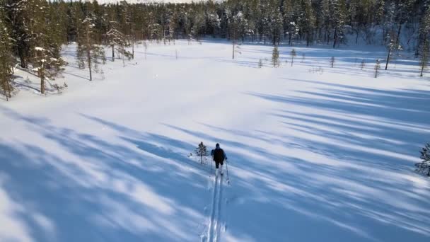 Muž s batohem kráčí v zimě lesem na lyžích — Stock video