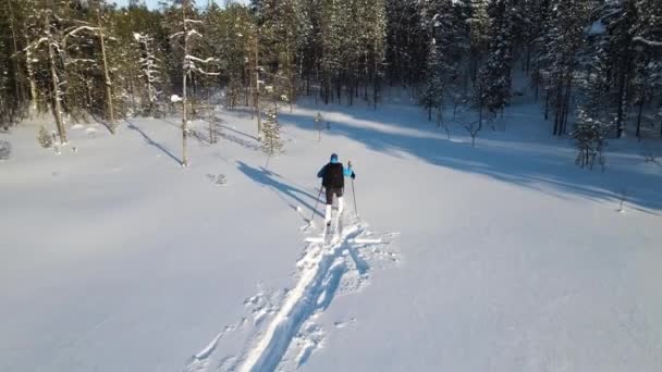 A man with a backpack on skis walks into the winter forest and mountains on the far background — Stockvideo