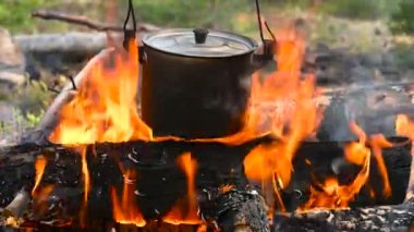 Melon şapka yakın plan, çalılık, açık hava, hayatta kalma.