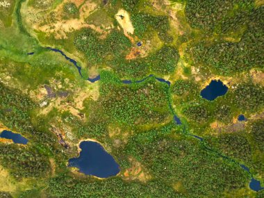 Üst görünüm yeşil arkaplan soyutlaması