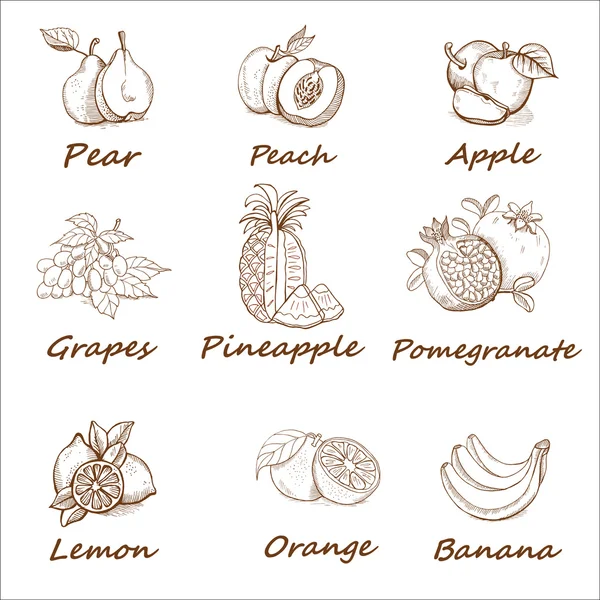 Collection, ensemble de fruits monochrome dessiné à la main . — Image vectorielle
