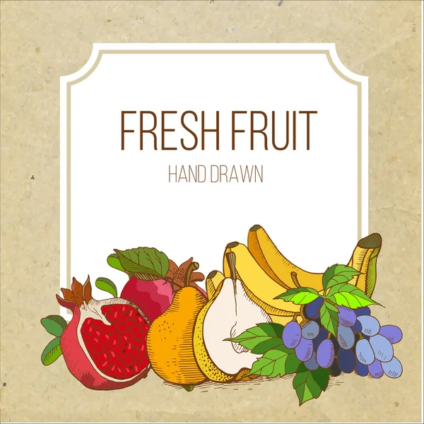 Meyveler, elle çizilmiş. Kraft kağıdı. Kraft yemekleri. Menü. Vektör çizimi