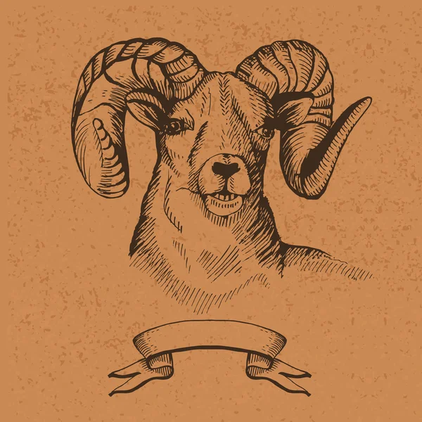 Caza.Dibujado a mano. Cabeza de oveja de montaña en el Kraft backgrou — Archivo Imágenes Vectoriales