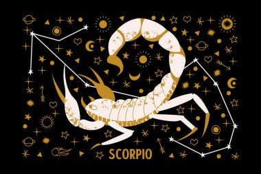 Gece gökyüzüne karşı yıldızlarla çevrili beyaz ve altın Akrep. Scorpio Takımyıldızı. Siyah arkaplanda vektör illüstrasyonu.