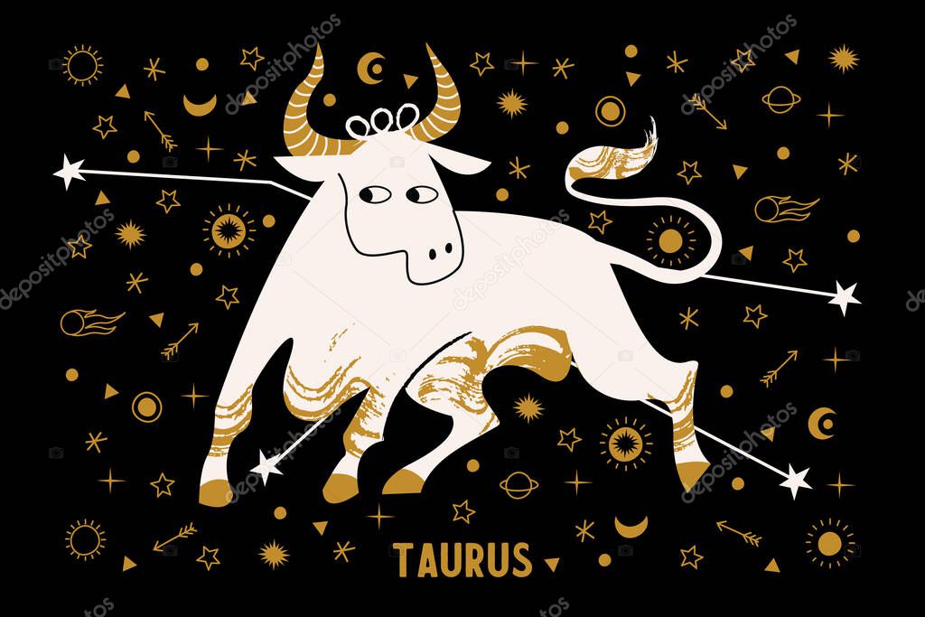 Taurus is a sign of the zodiac. White and gold mythological bull on the background of the starry sky. Golden stars, planets, comets, and the constellation of Taurus.