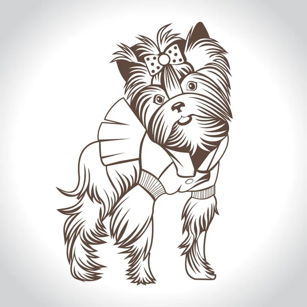 Perro, Yorkshire Terrier, logotipo de vector lineal . — Vector de stock