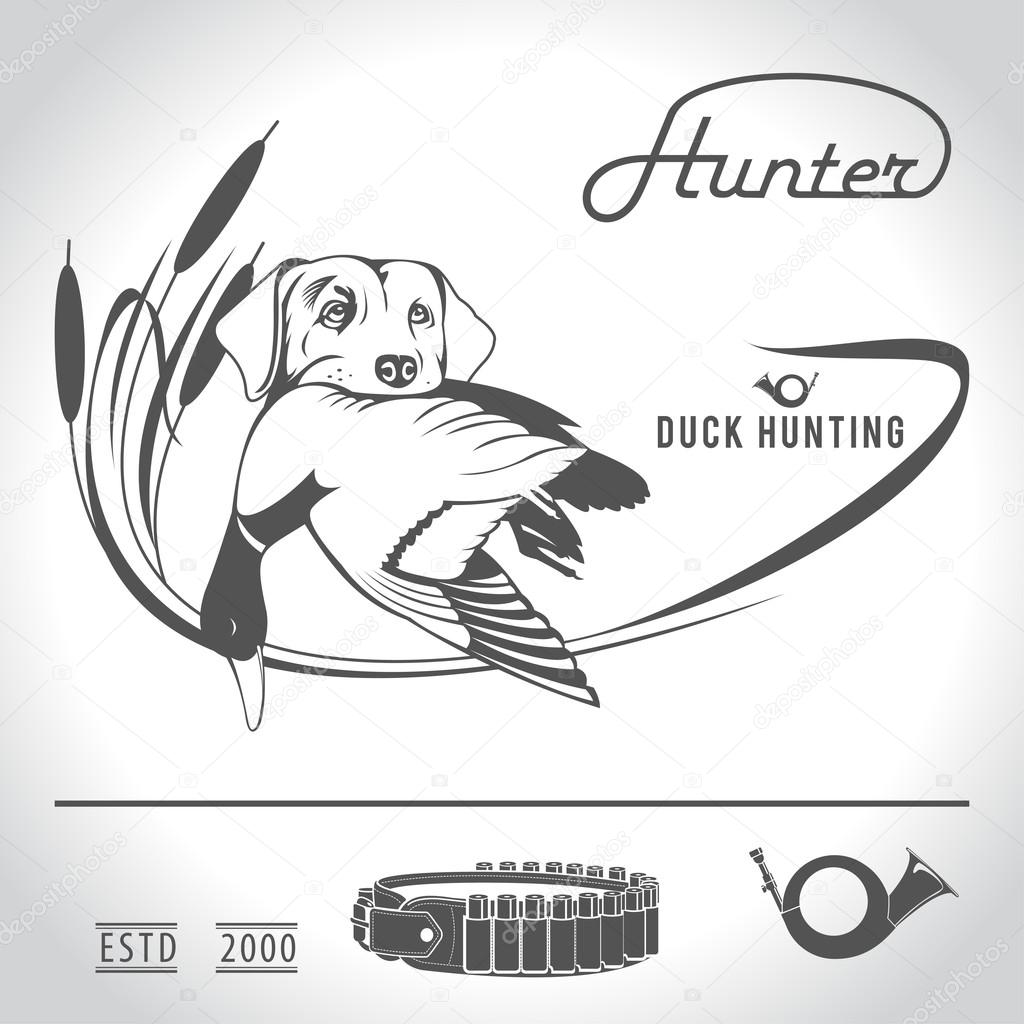 Hunting logo hunting dog with a wild duck in his teeth and design elements. The outfit of the hunter.