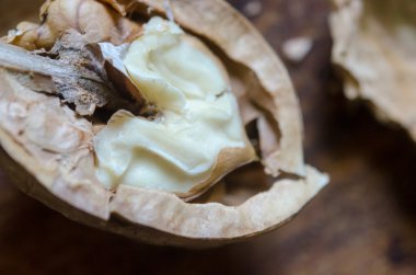 yarım ceviz çekirdek makro