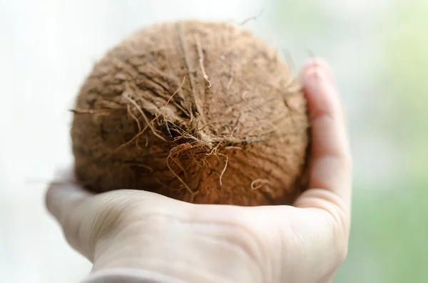 Całość trochę kokos — Zdjęcie stockowe