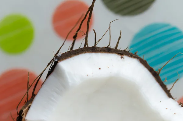 Coconut in the hand — Stock Photo, Image