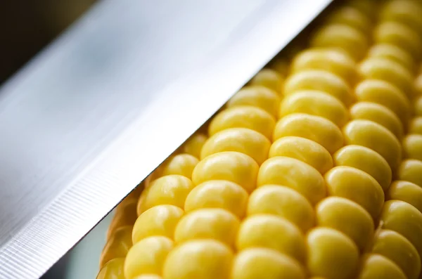 Corn — Stock Photo, Image