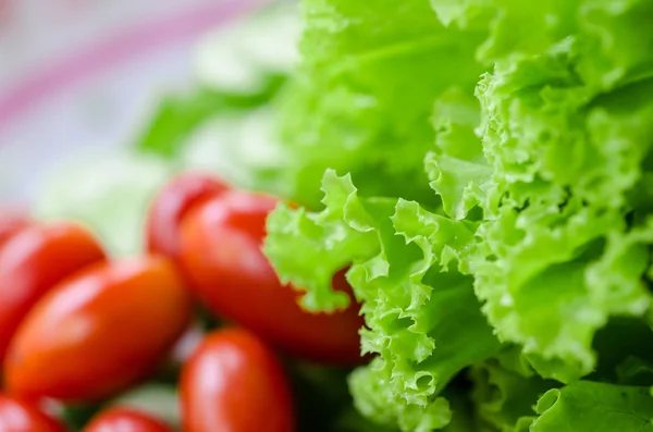 Salada — Fotografia de Stock