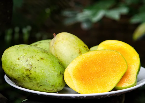 Mango