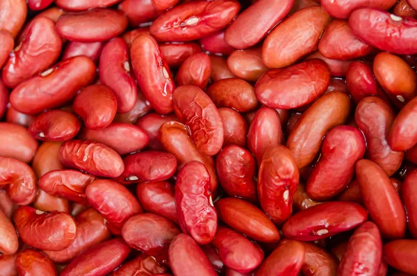 Legume — Stock Photo, Image