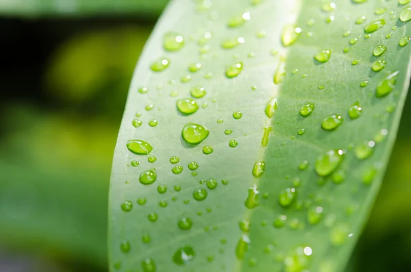 Gotas de água — Fotografia de Stock