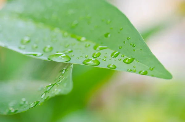 Gotas de água — Fotografia de Stock