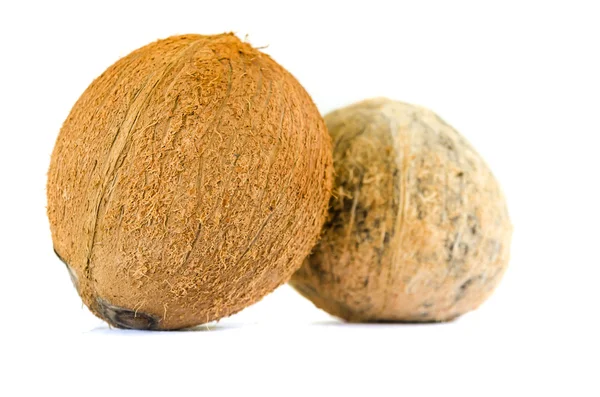分離された 2 つのココナッツ — ストック写真