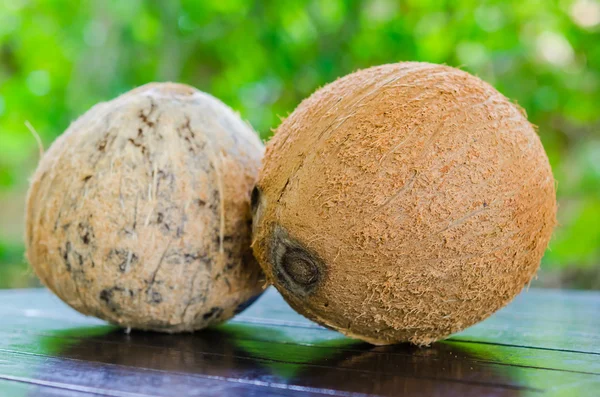 두 코코넛 — 스톡 사진