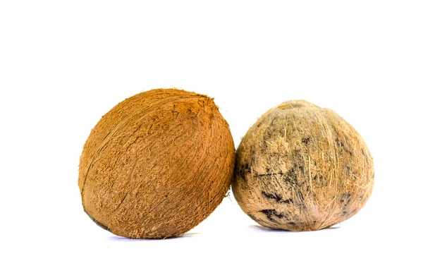 Twee kokosnoten geïsoleerd — Stockfoto