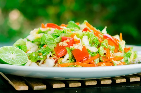 Salada de primavera — Fotografia de Stock