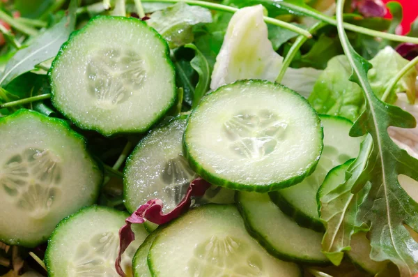 Salad with cucmber — Stock Photo, Image