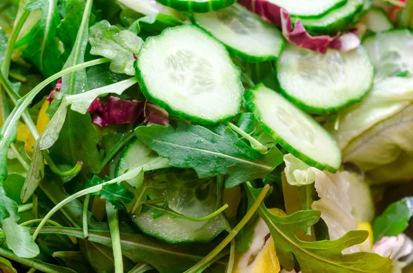 Salad from leafs — Stock Photo, Image