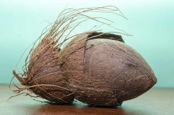 Coconut and his shell — Stock Photo, Image