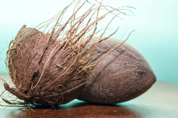 코코넛과 그의 포탄 — 스톡 사진