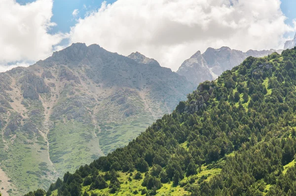 dağ yolu