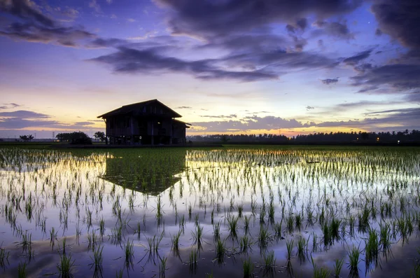 Abandon samotny dom i odbicia na wodzie, pośród ryżowych z chmury dramatyczne i kolorowe niebo. — Zdjęcie stockowe