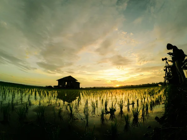 Силуетна група зображень фотографа, який фотографує самотній будинок в оточенні зеленого прорізу в новому сезоні з прекрасним фоном сходу сонця — стокове фото