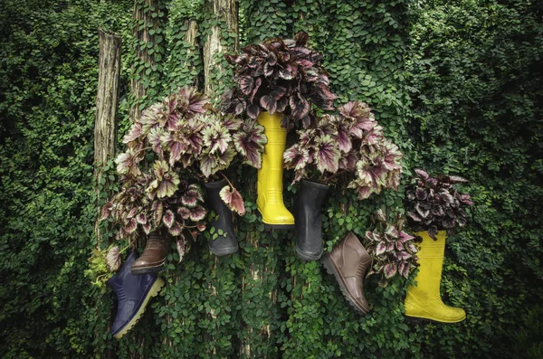 colorful rubber boots hanging on the stump with green leaves