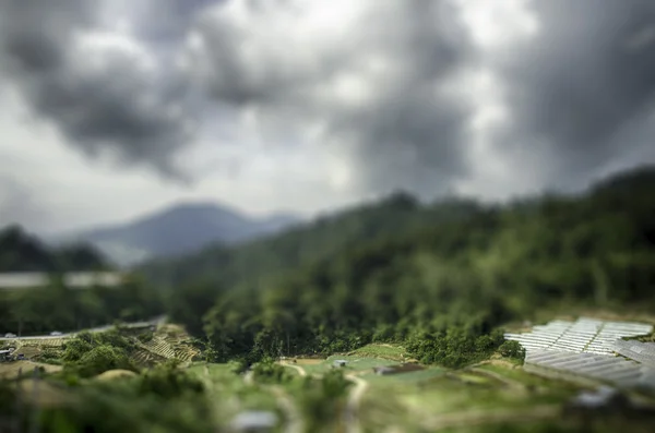 tilt shift landscape effect. cameron highland, Malaysia