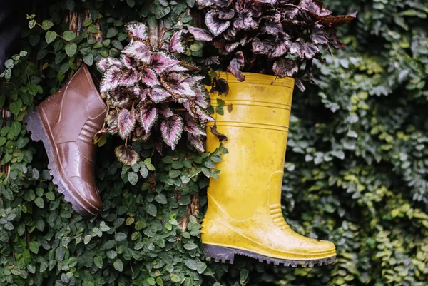 Yellow rubber boot hanging on the stump — Stock Photo, Image